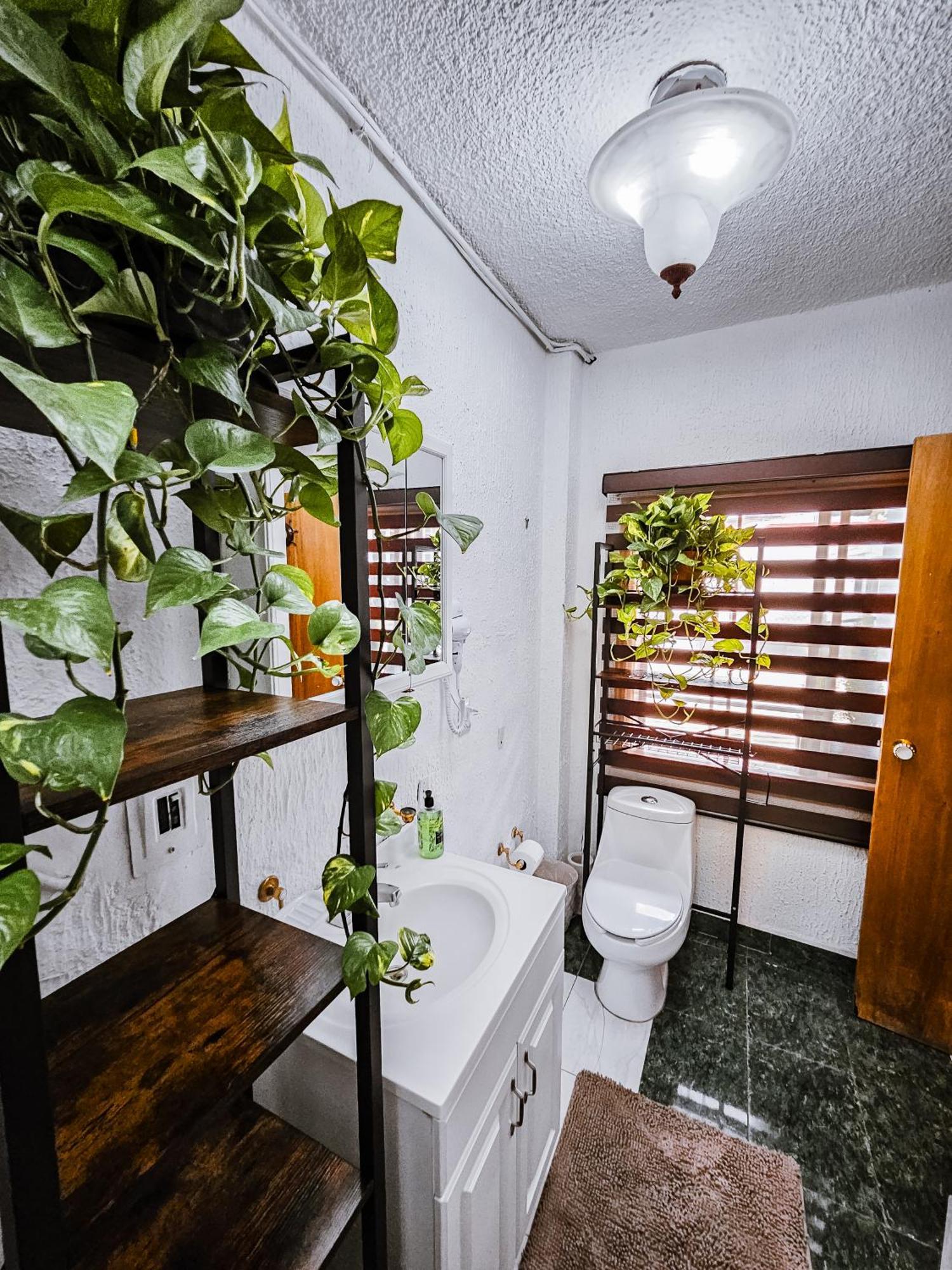 Habitacion Con Bano Privado B, Centro De Coyoacan Ciudad de México Exteriér fotografie